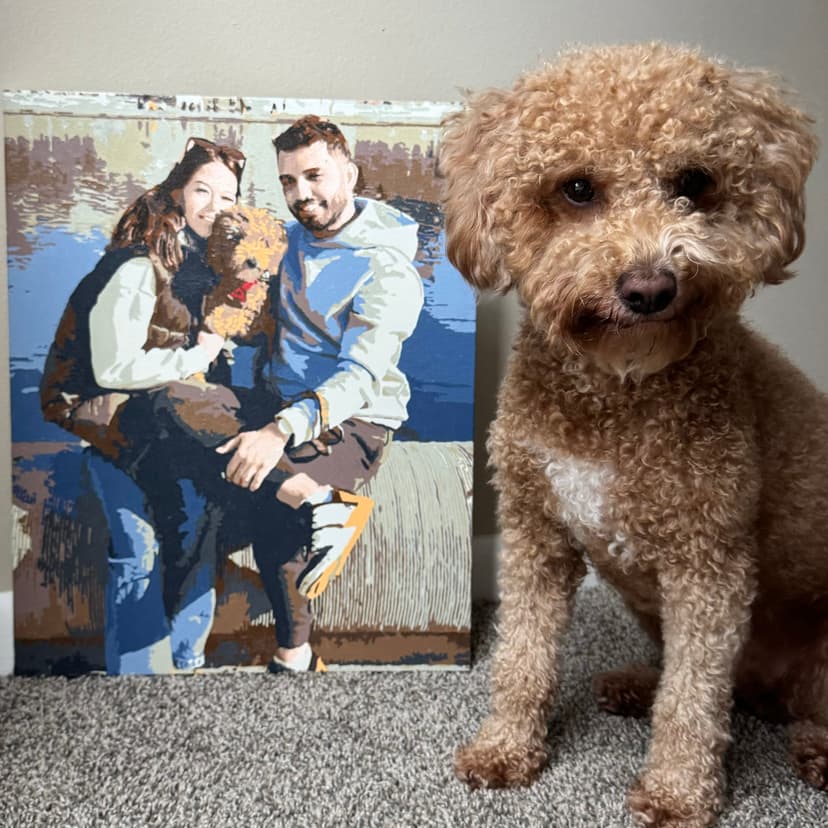 Customer's Davincified artwork